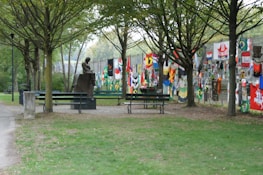 A serene park setting where veterans engage in activities, illustrating healing and hope.