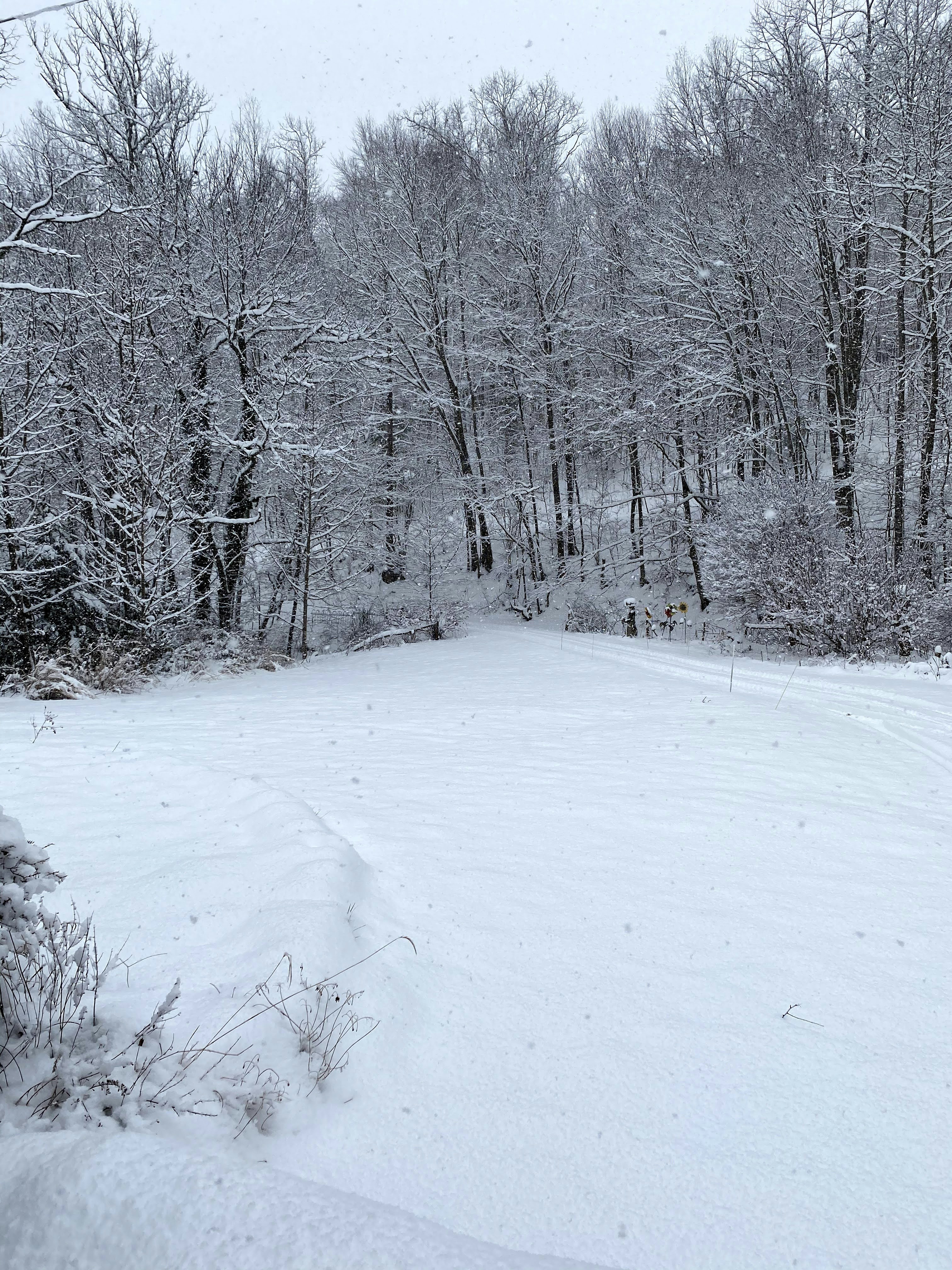 Photo by lazyfancygirl