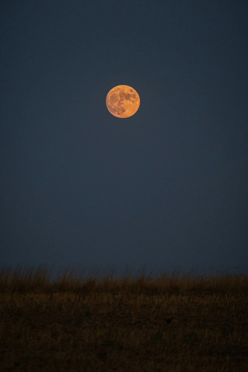 a full moon is seen in the sky above a grassy field