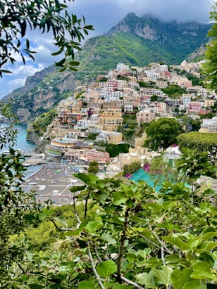 a scenic view of a village on a hillside
