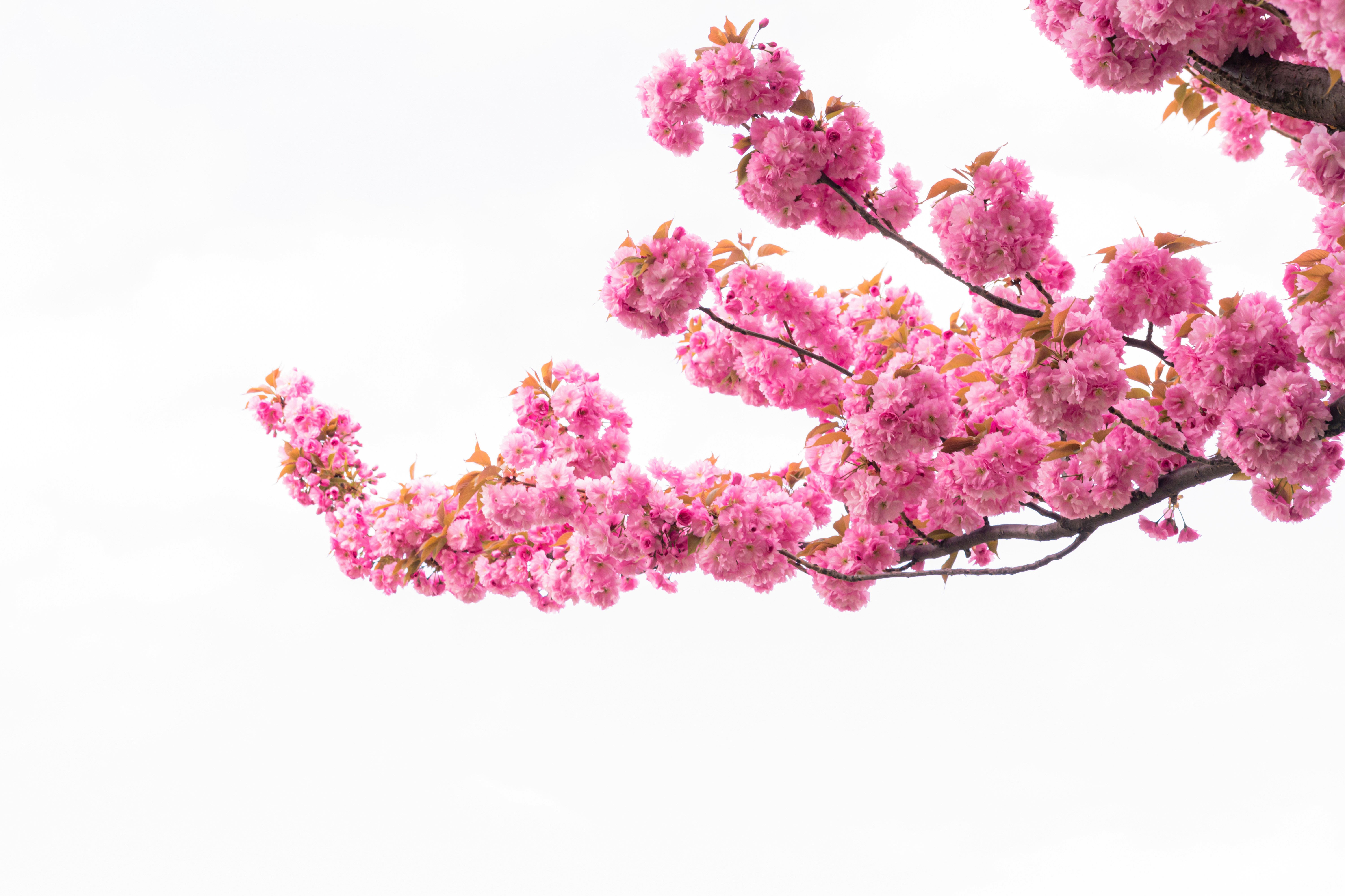 Photo by niki_emmert