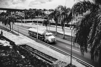 A black and white image captures a large truck driving along a deserted street lined with tall palm trees. The background shows a mix of industrial and natural scenery, including an overpass and lush foliage. The viewpoint is elevated, adding depth to the image, and a solitary person stands to the side of the road.