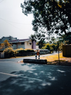 A quiet suburban street with a small, single-story house in the background surrounded by trees and bushes. A tree casts shadows on the paved road in the foreground, while the sky is clear, providing bright but contrasting light.