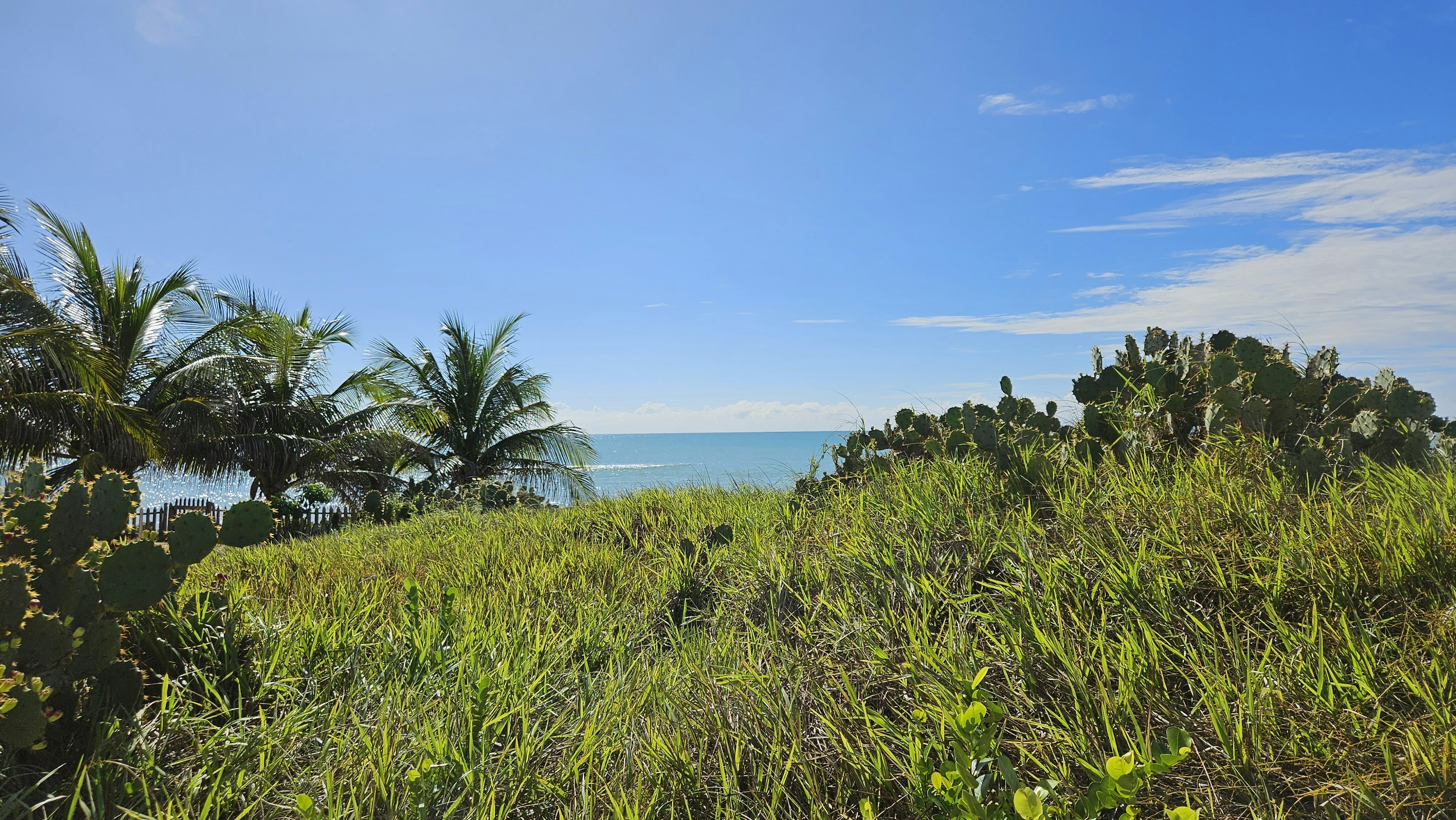 Photo by germano_romero