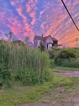 A cozy luxury prefabricated house surrounded by nature at sunset.