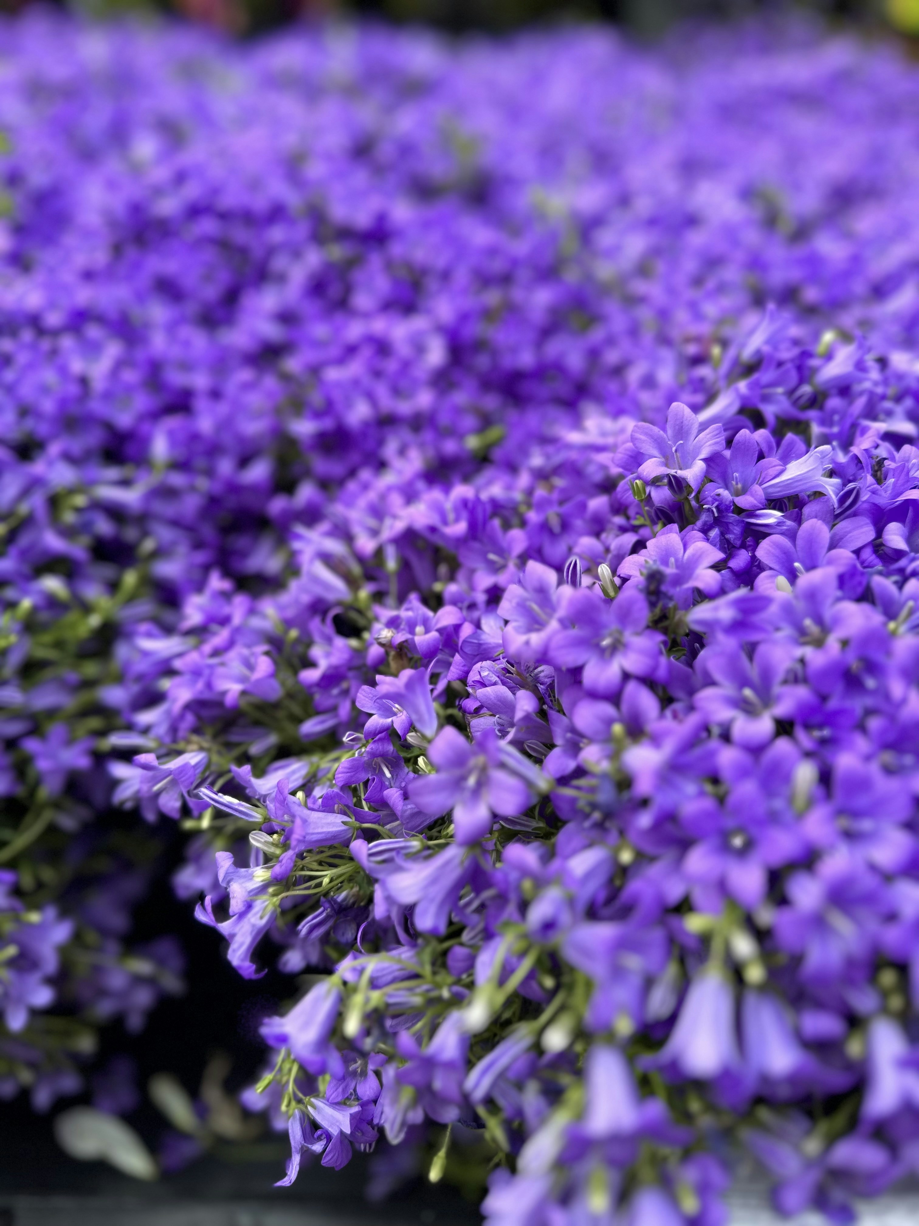 Photo by robertstefan9