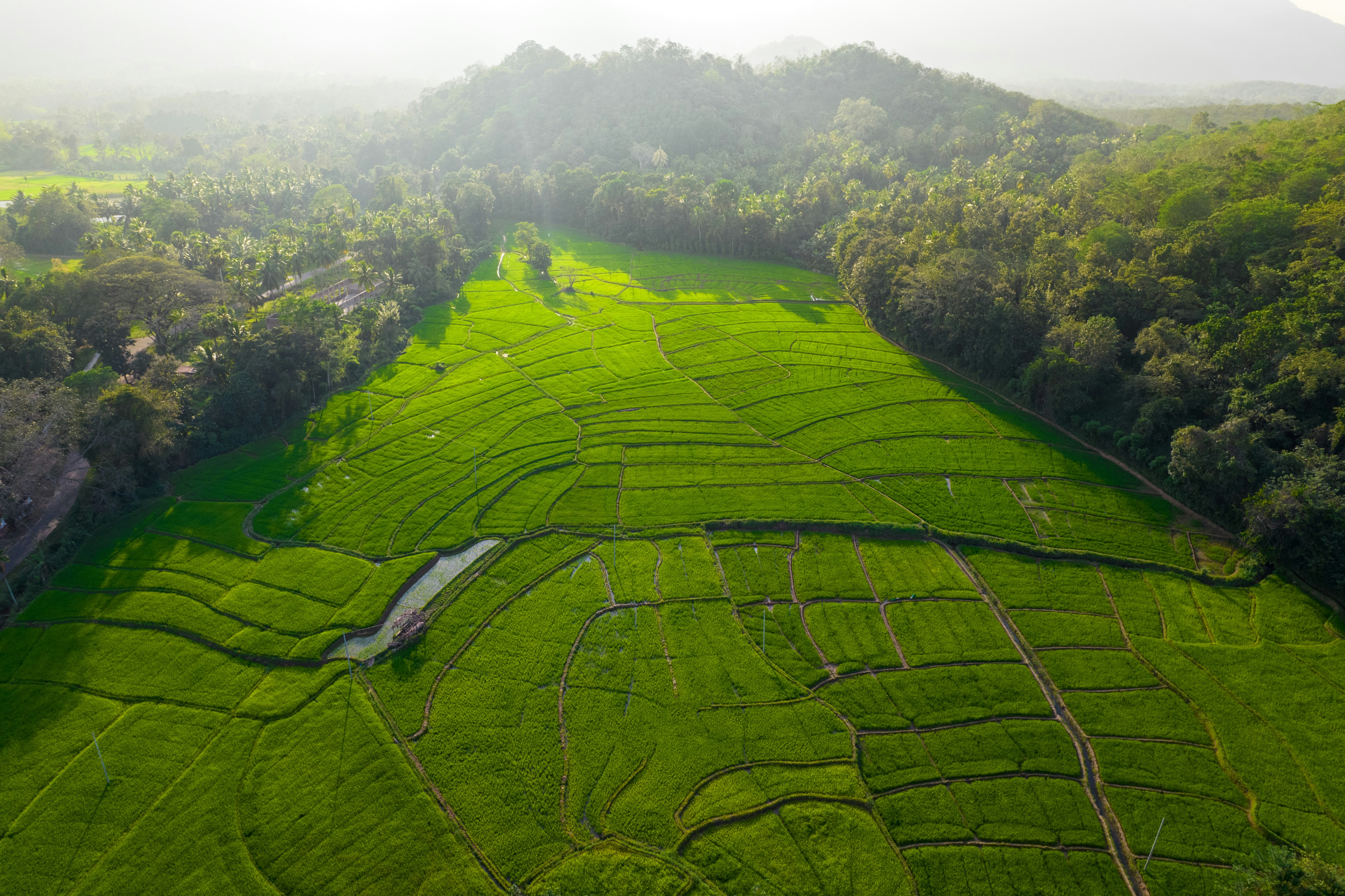 an aerial view of a lush green field, Stunning Drone Captures of a Grand Waterfall