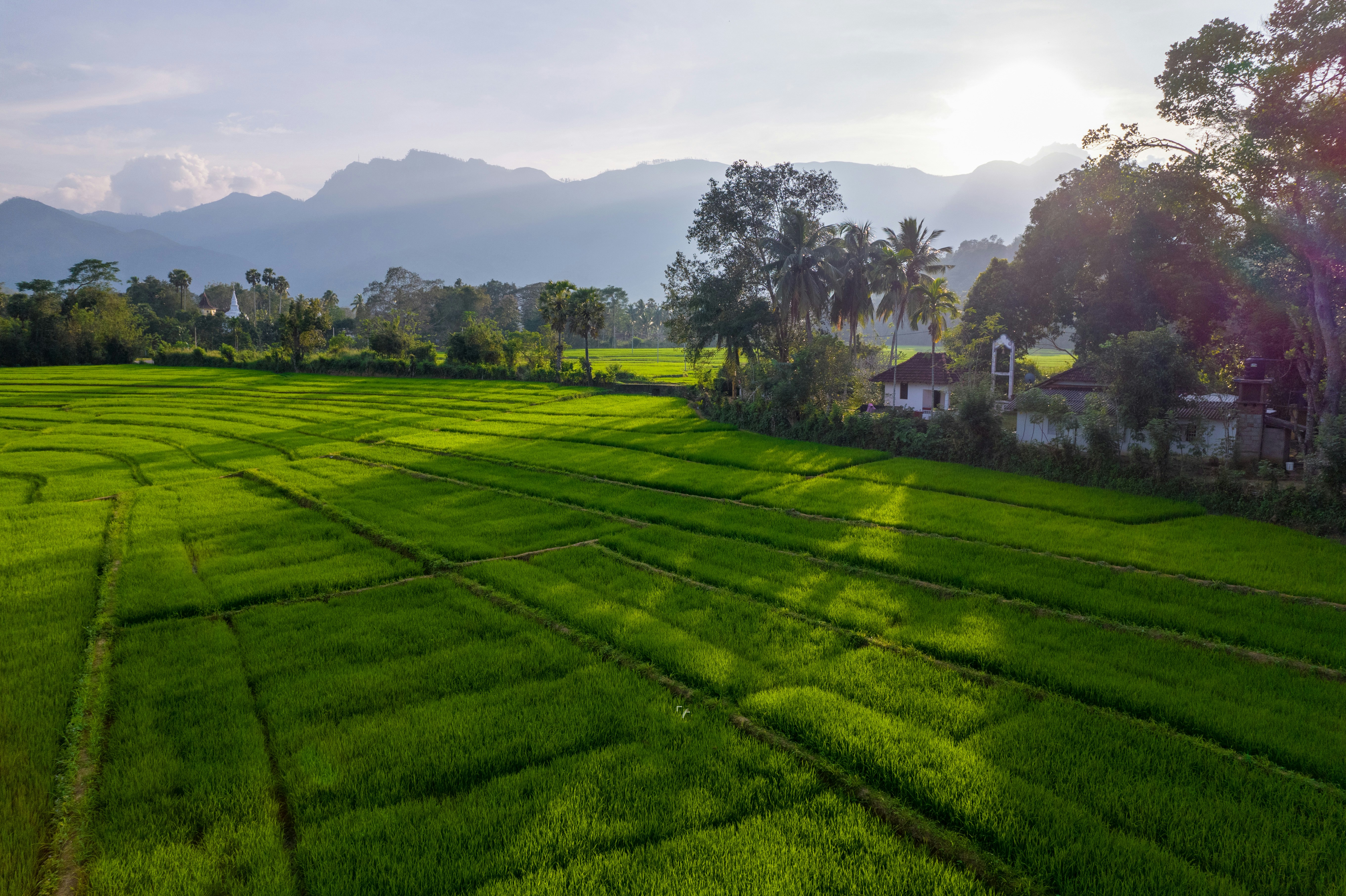 a lush green field with mountains in the background, Exploring Village Genie Beauty from Above