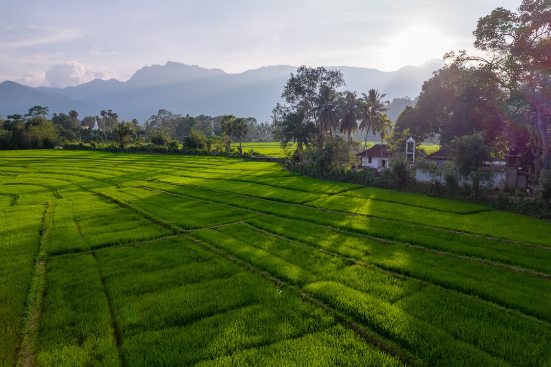 a lush green field with mountains in the background, Exploring Village Genie Beauty from Above