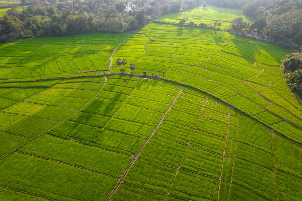 an aerial view of a lush green field