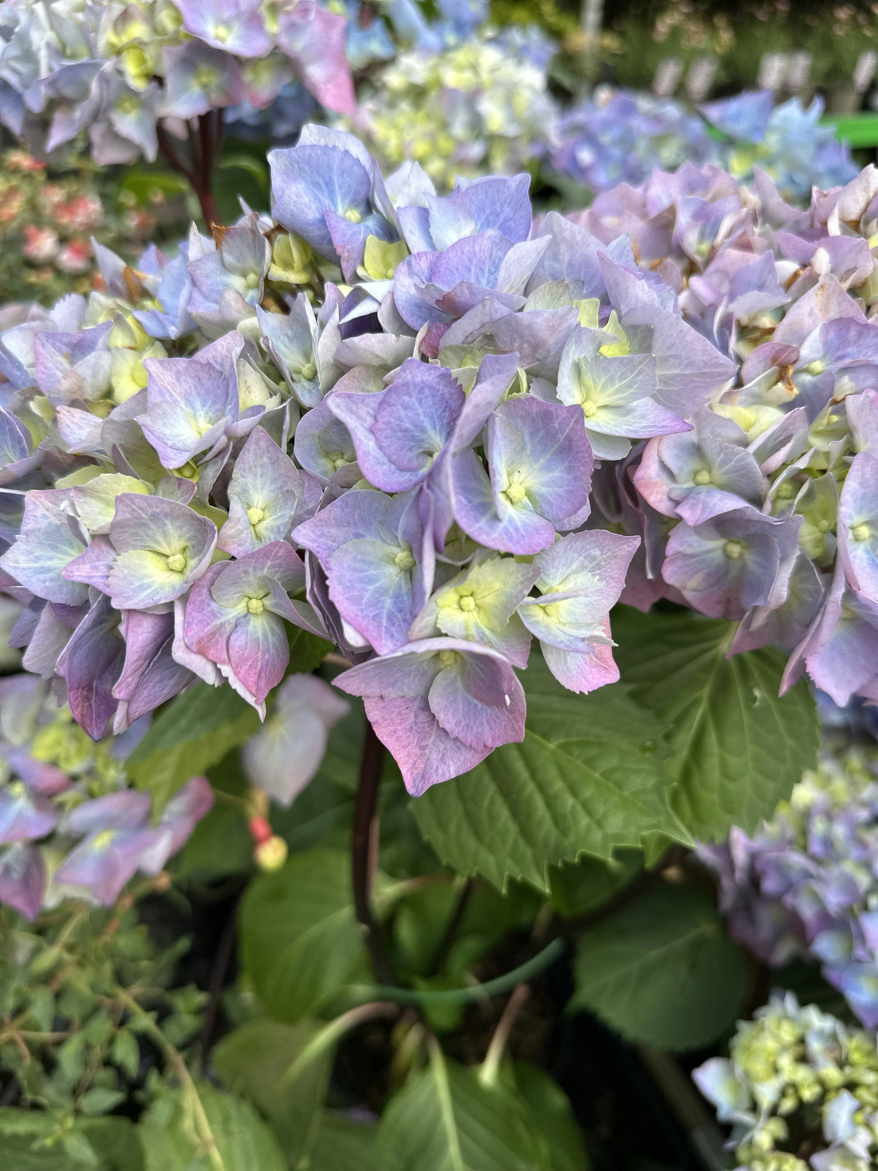 Photo by robertstefan9