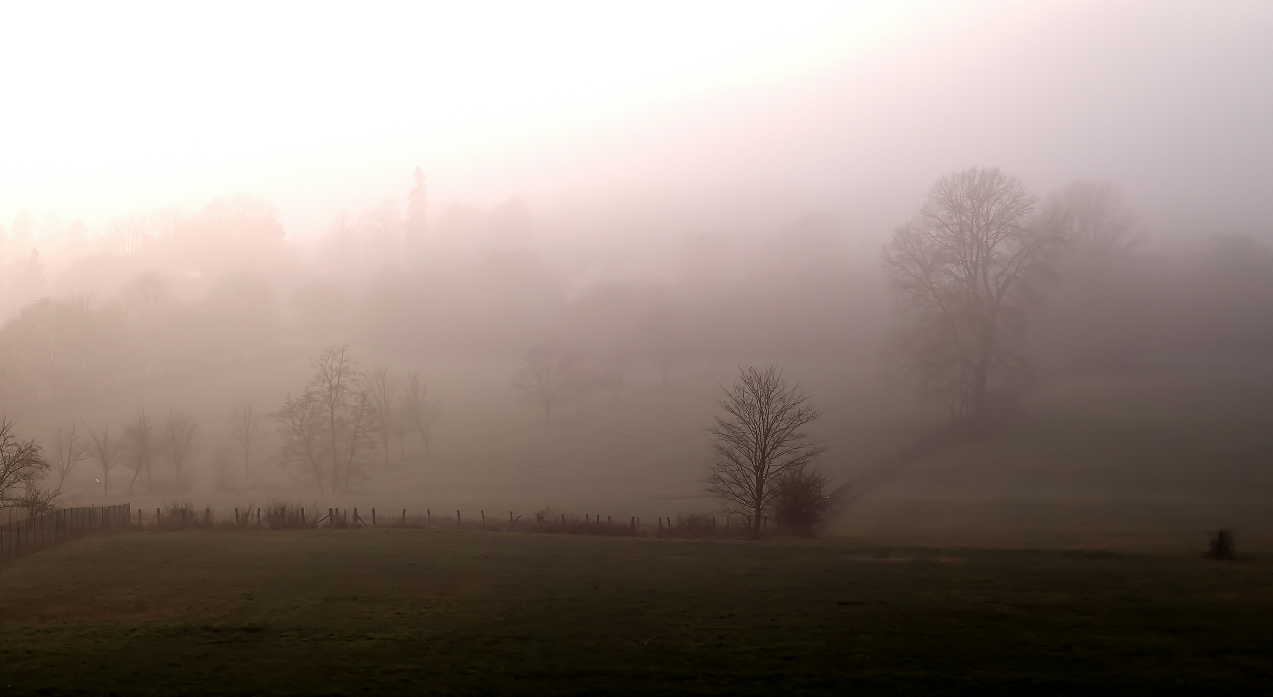 Photo by jeanwolo