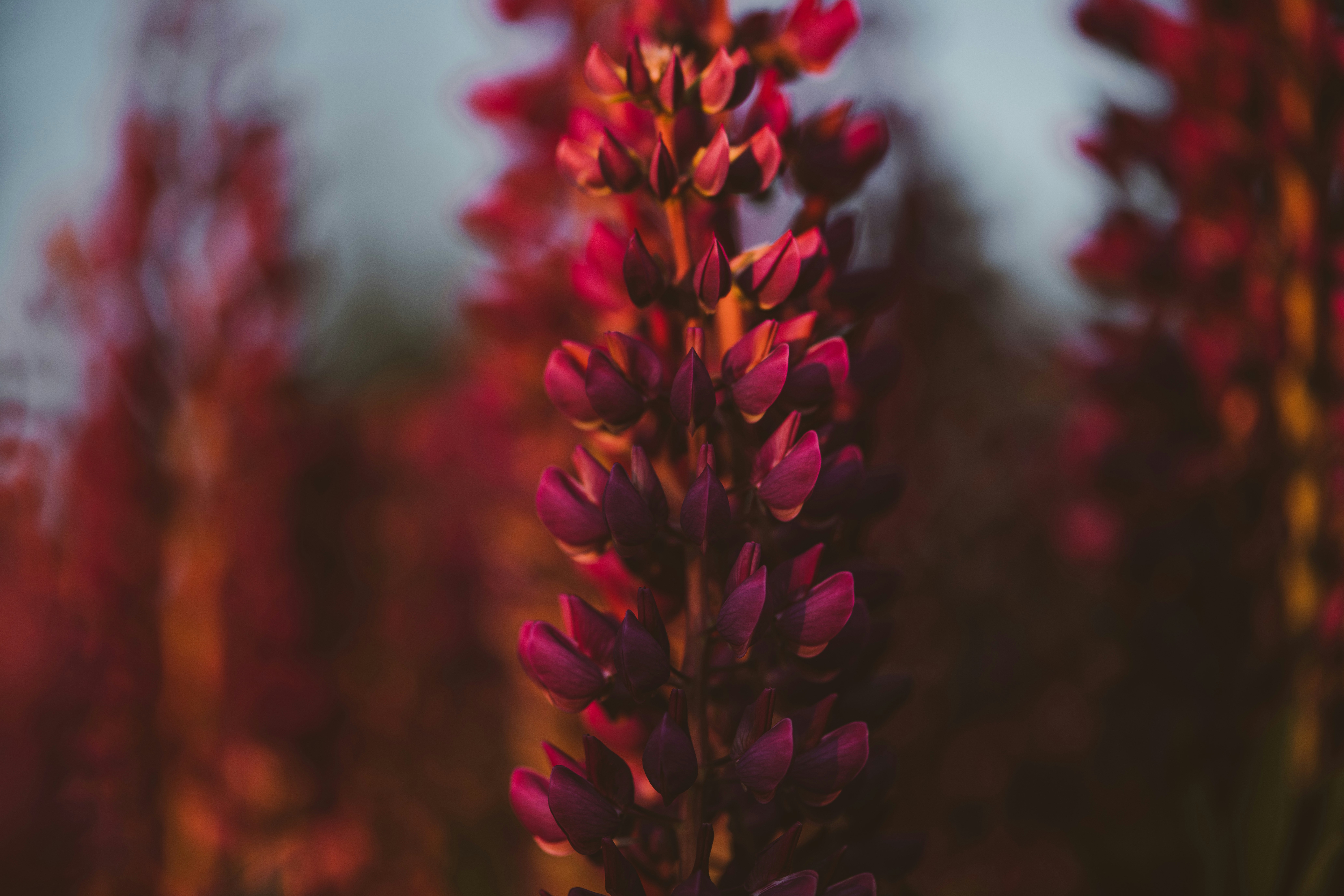 Photo by anitaaustvika