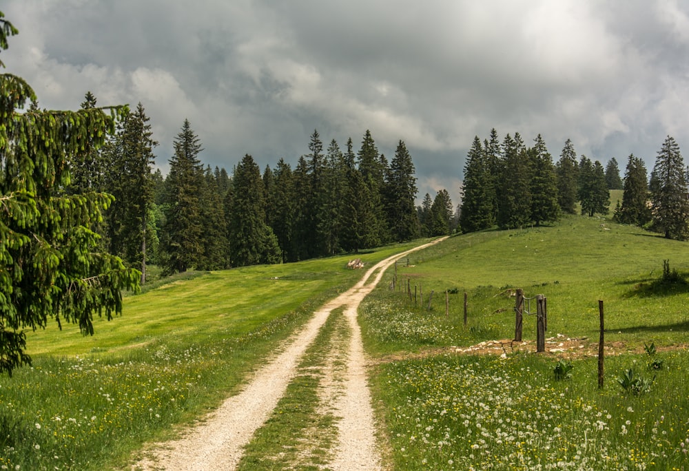 a dirt road going through a lush green field