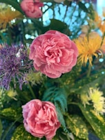 Colorful flower arrangements that reflect vivarose’s joyful lifestyle and eco-friendly commitment.