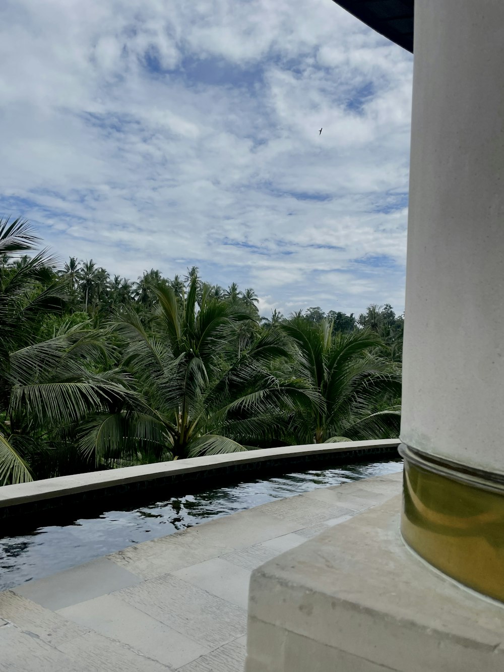 a view of a body of water with palm trees in the background