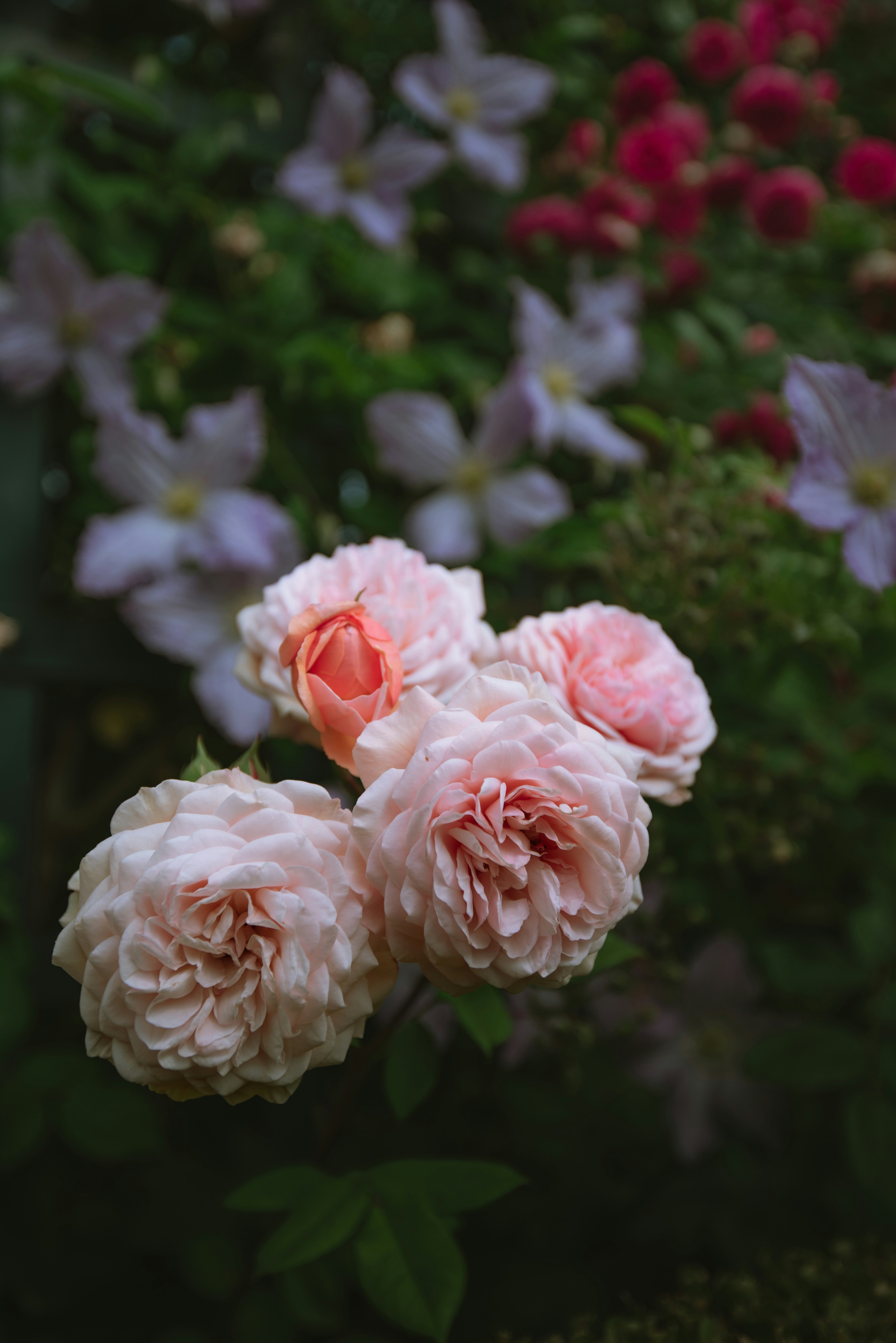 Photo by albulenapanduri