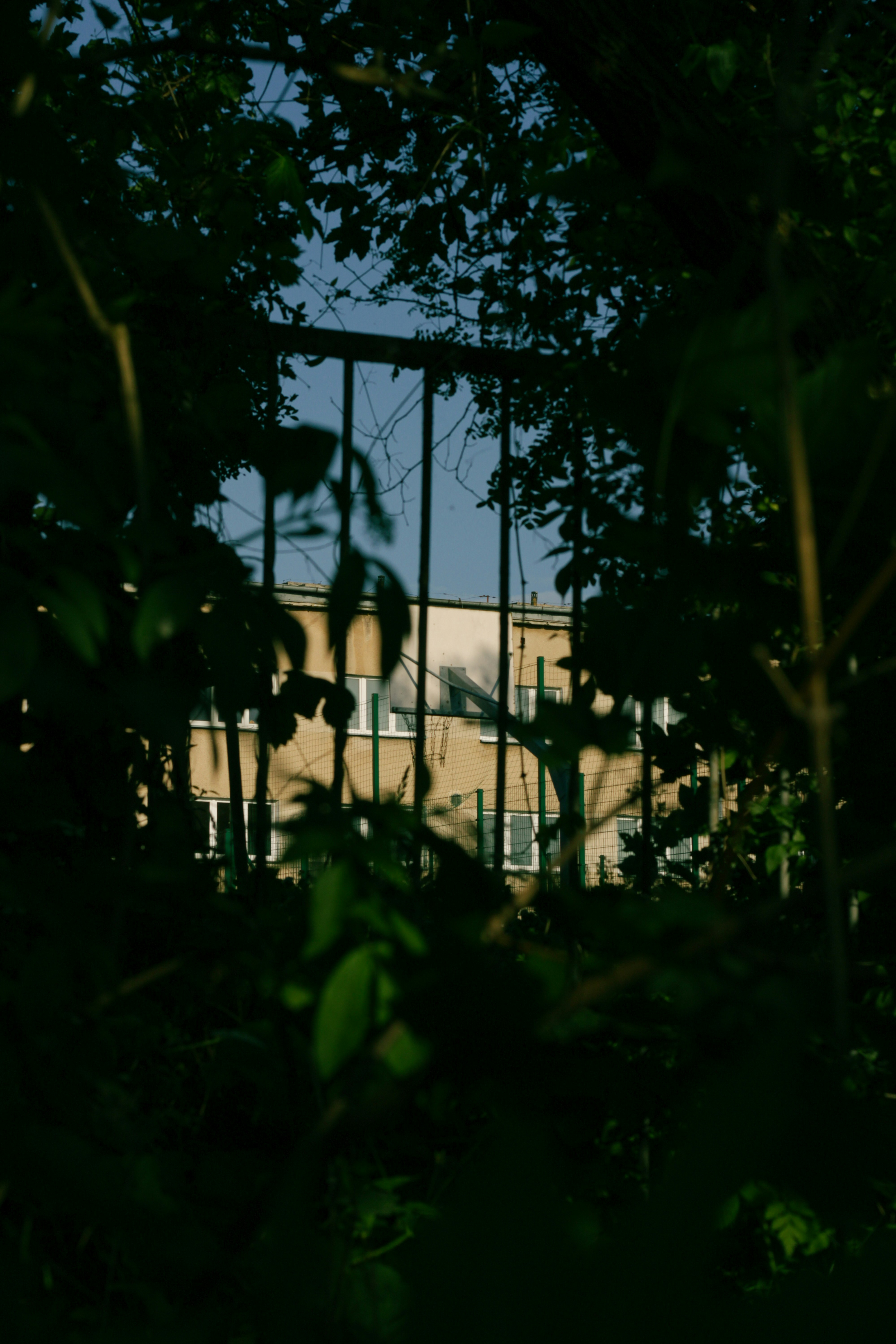 Photo by szymonek_wierzcholek