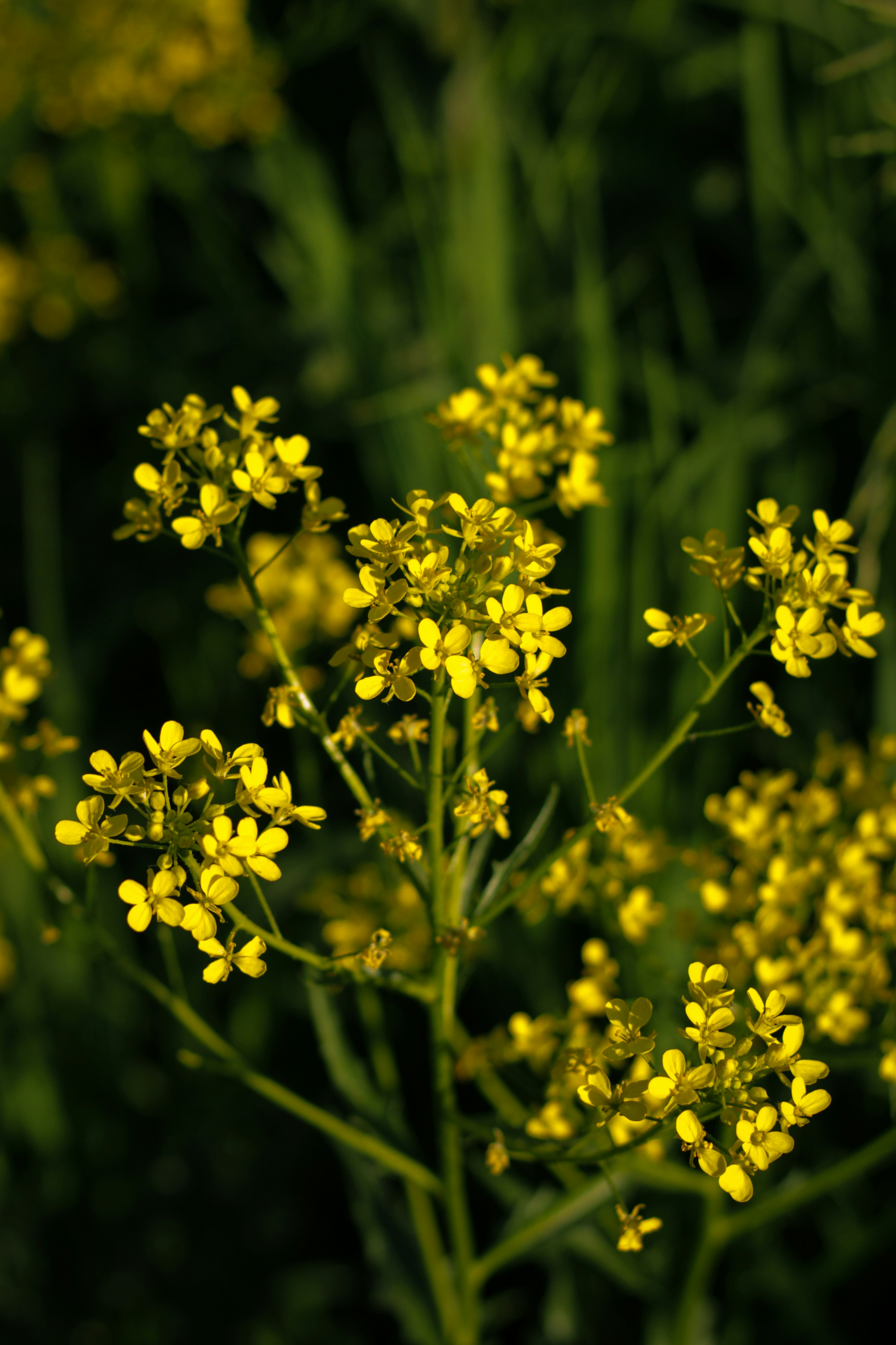 Photo by szymonek_wierzcholek