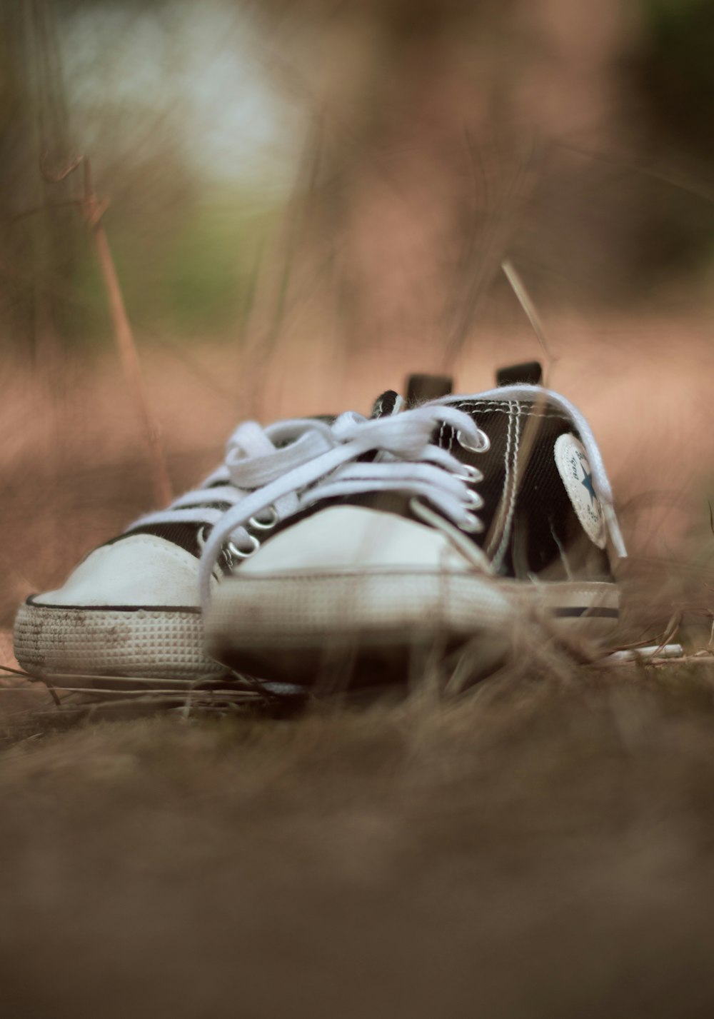 a pair of shoes sitting in the grass