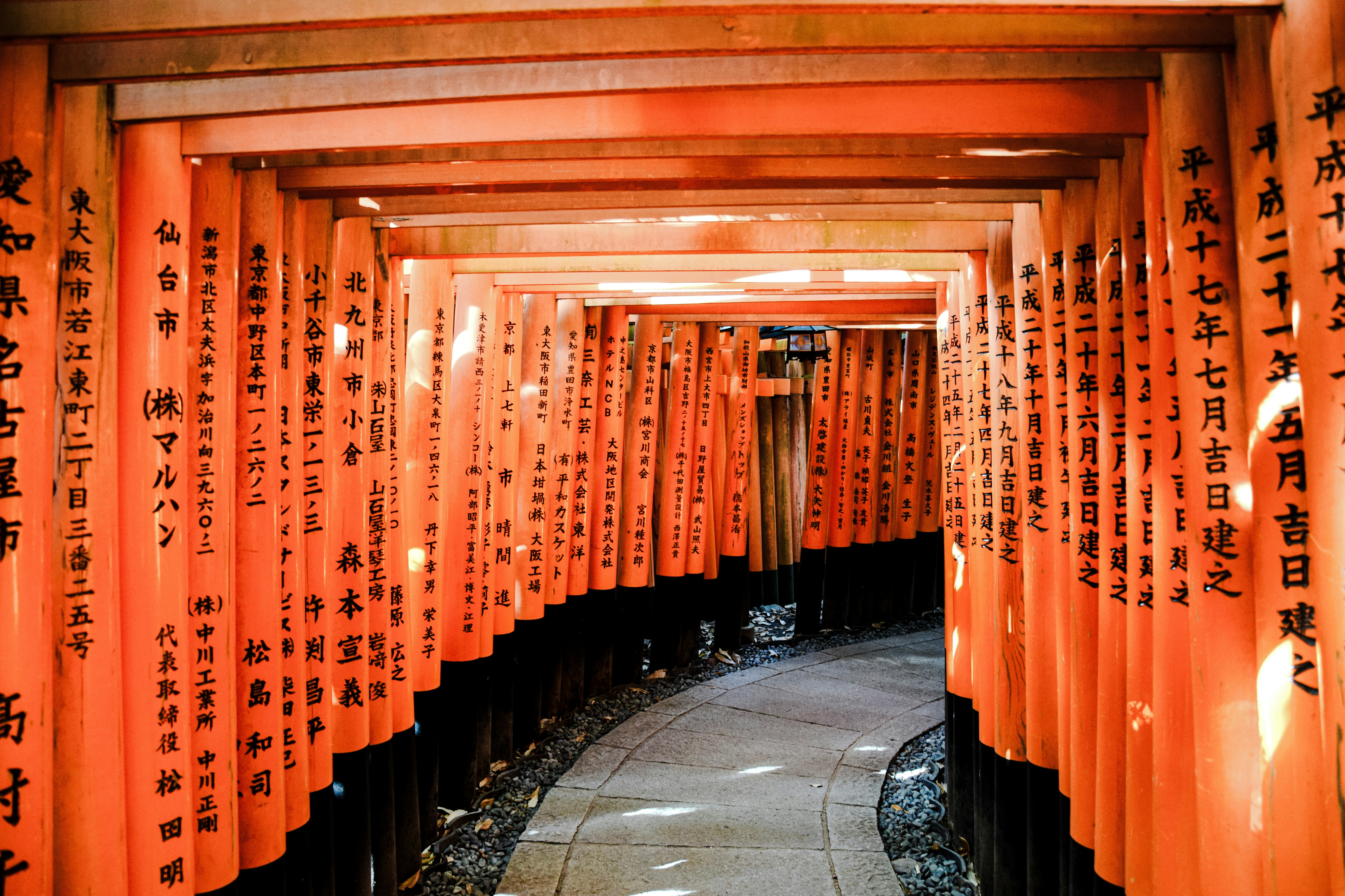 A tunnel of orange tori tori tori tori tori tori tori tori tori tori ...