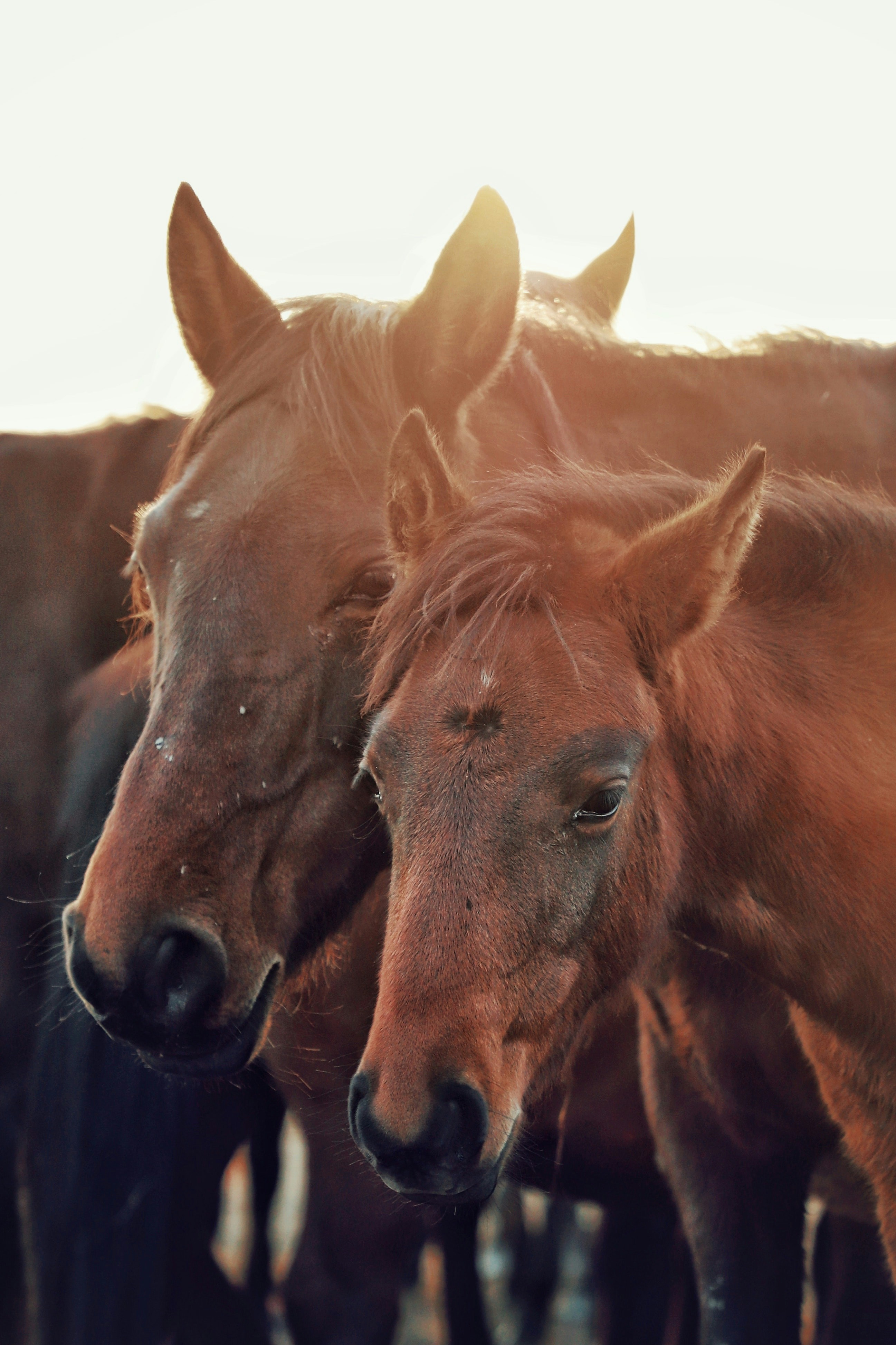 Photo by tansutopuzoglu