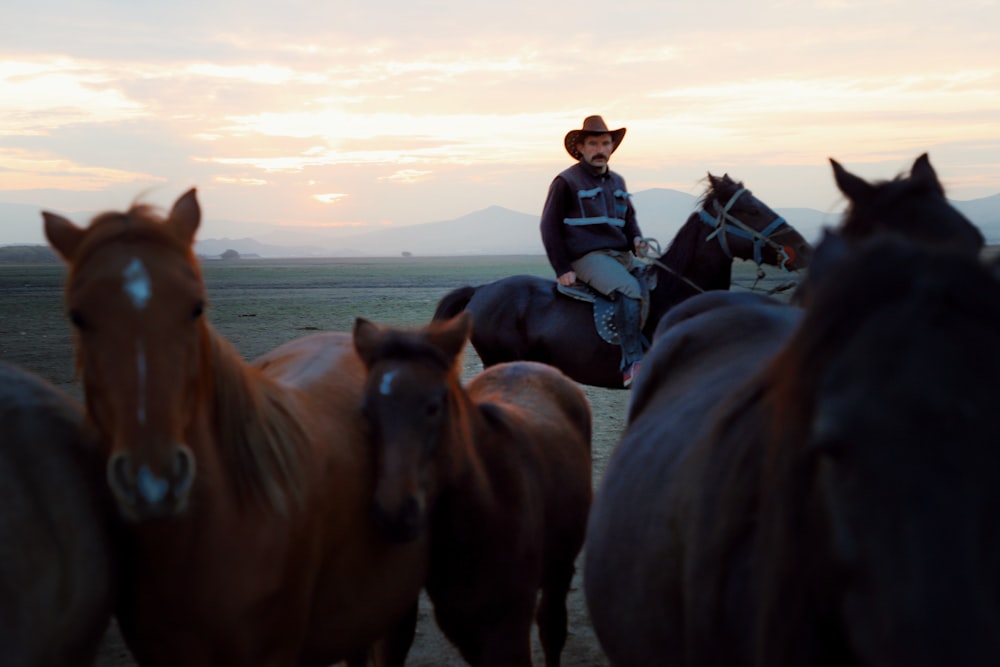 a man riding on the back of a horse next to a herd of horses
