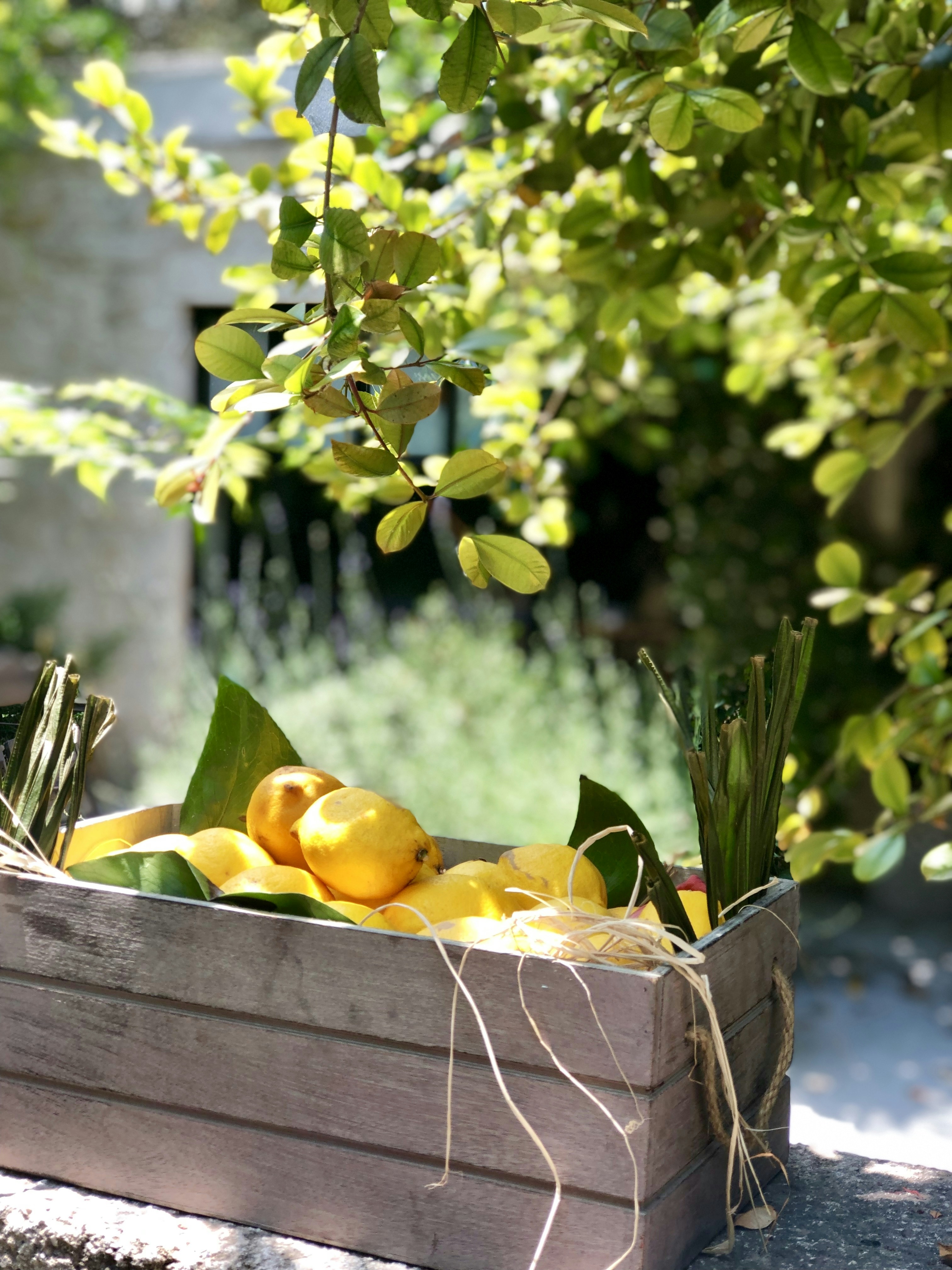 Photo by yigitdanaci