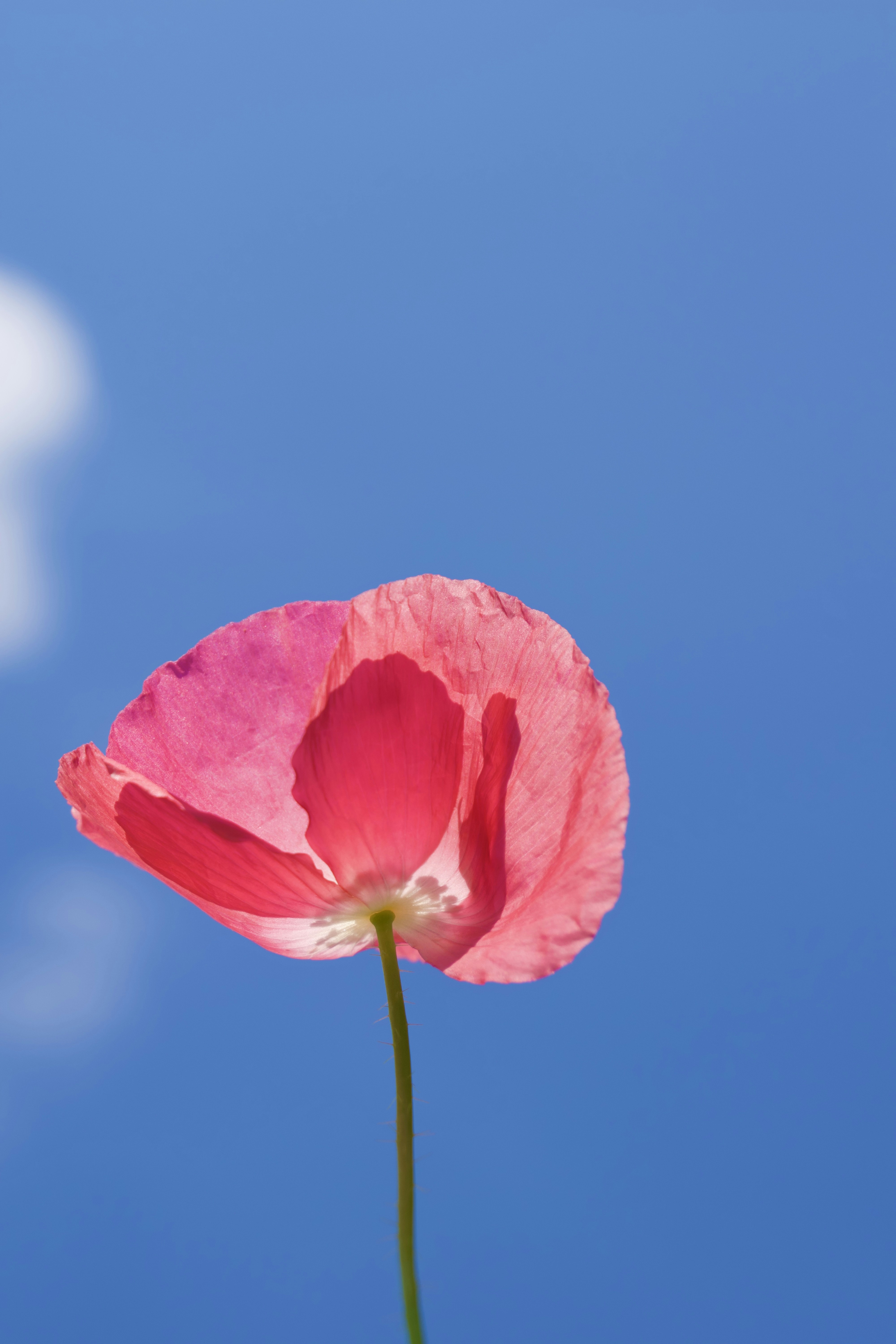 Photo by thebenitezz