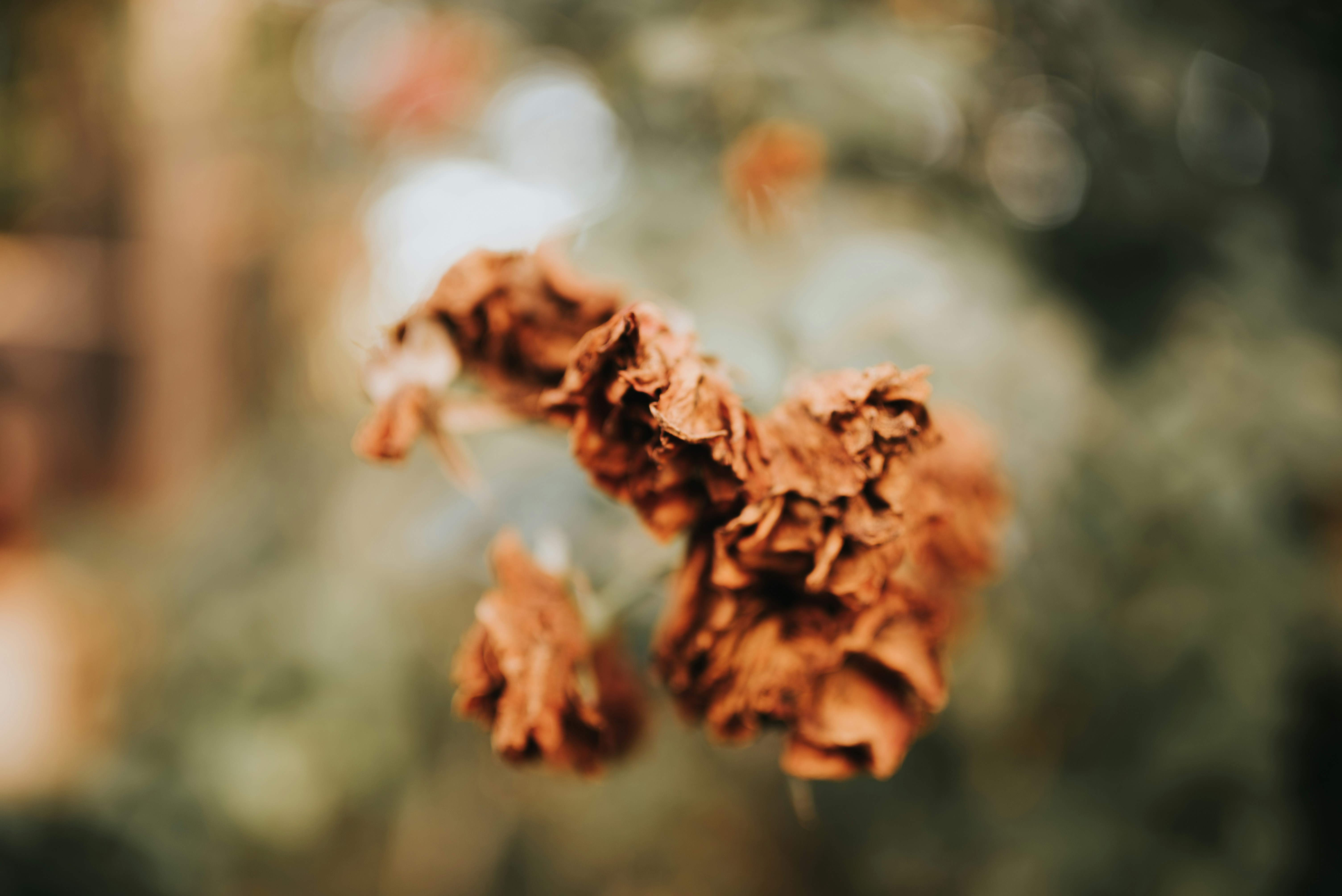 Photo by jessikaarraes