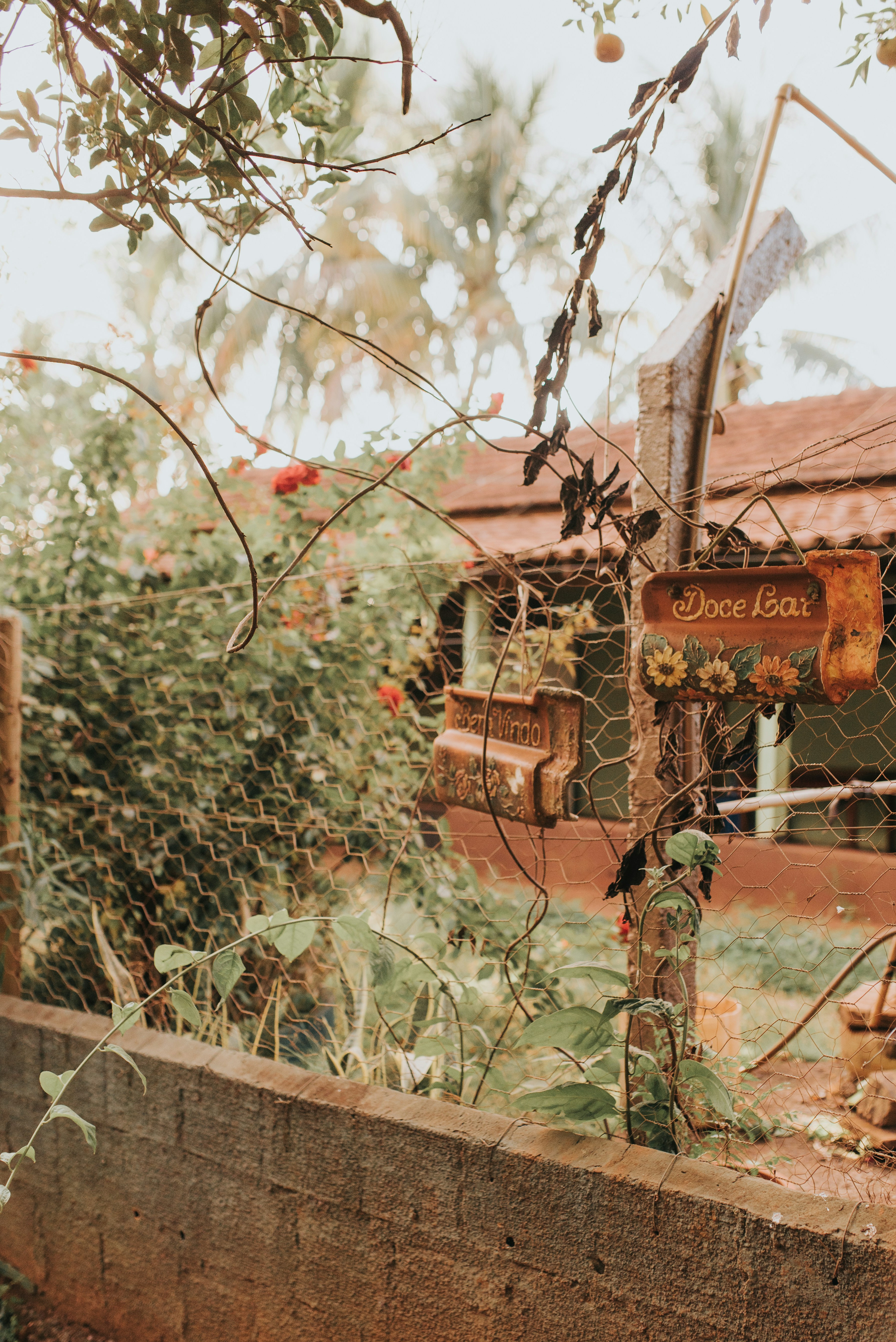 Photo by jessikaarraes