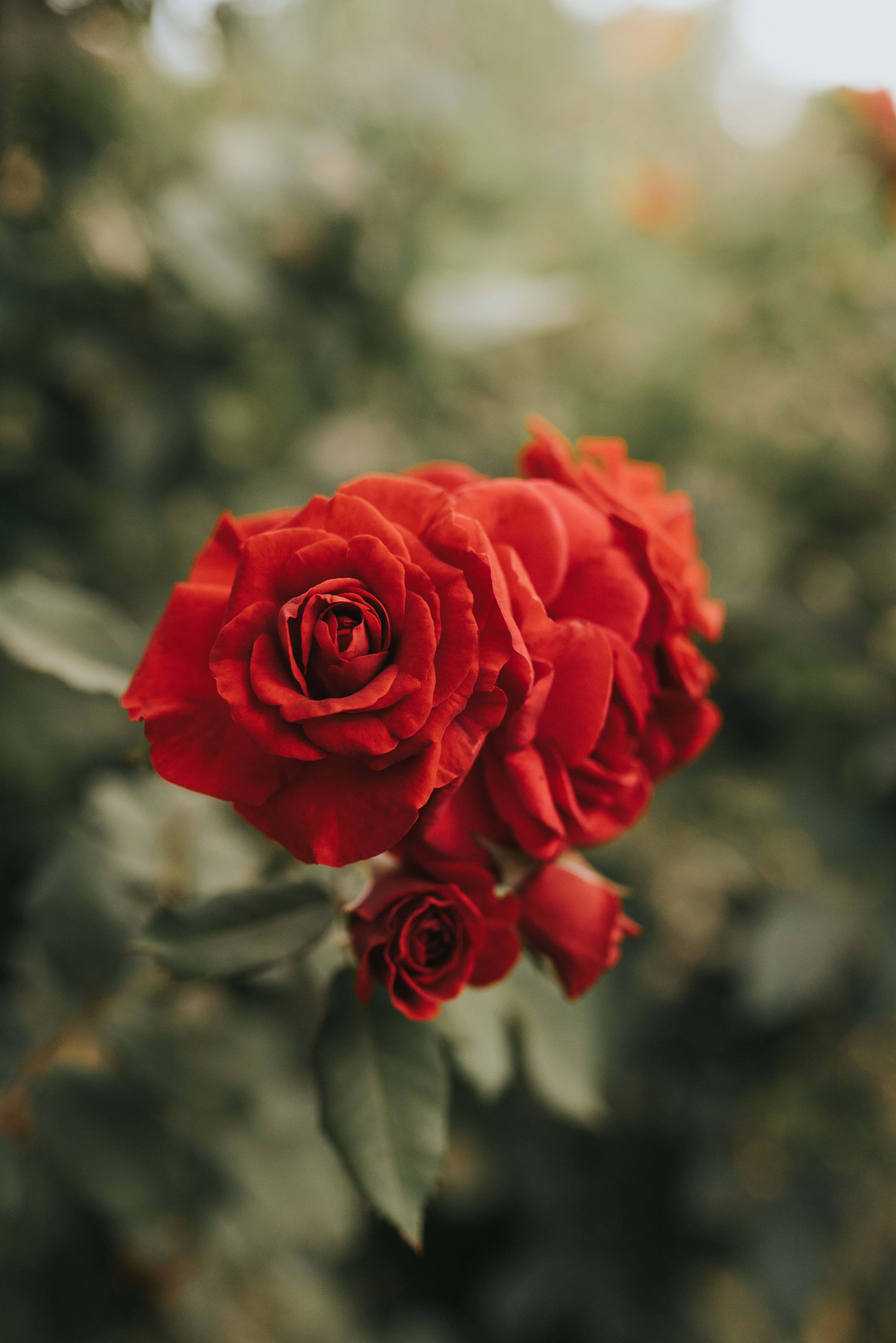 Photo by jessikaarraes