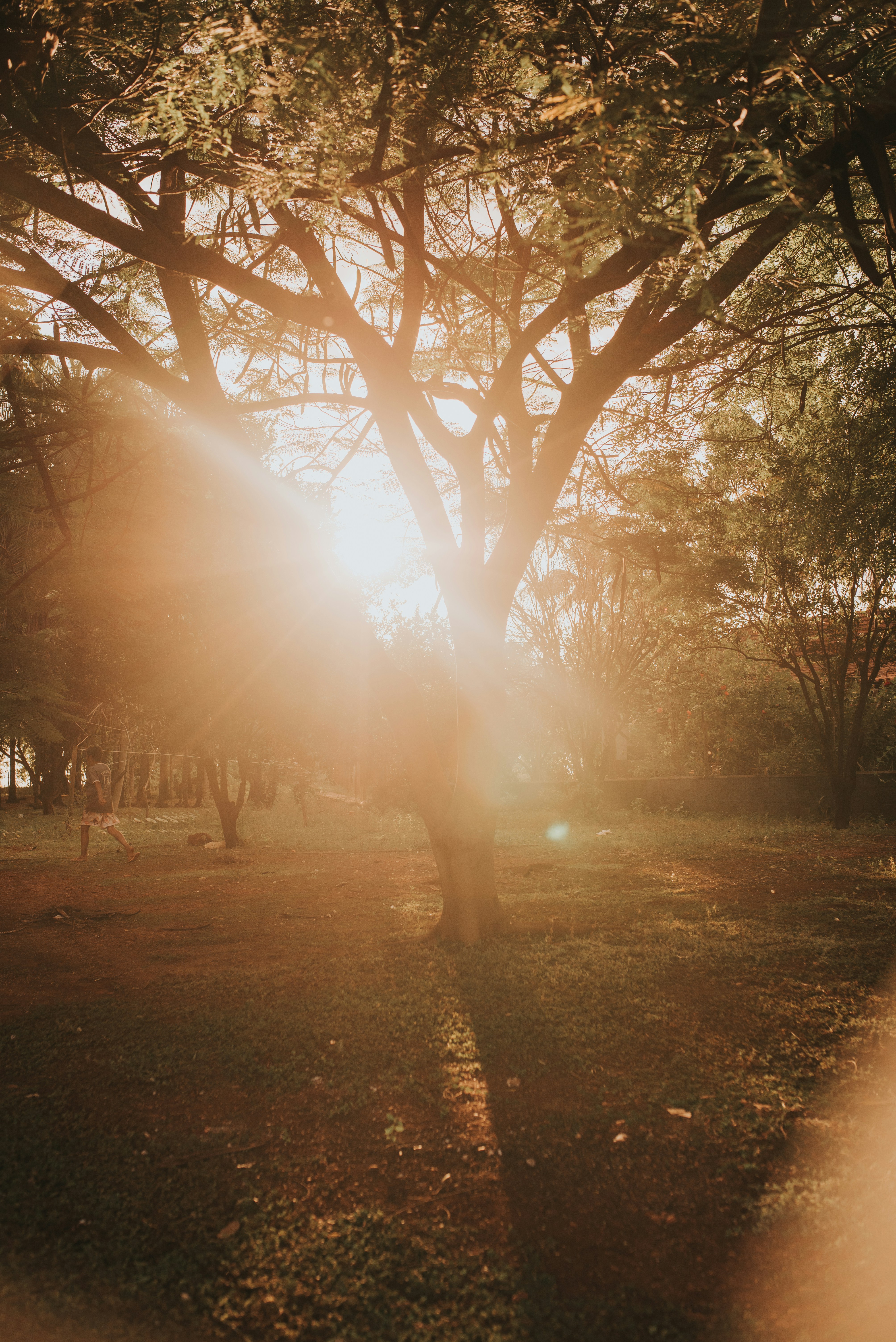 Photo by jessikaarraes