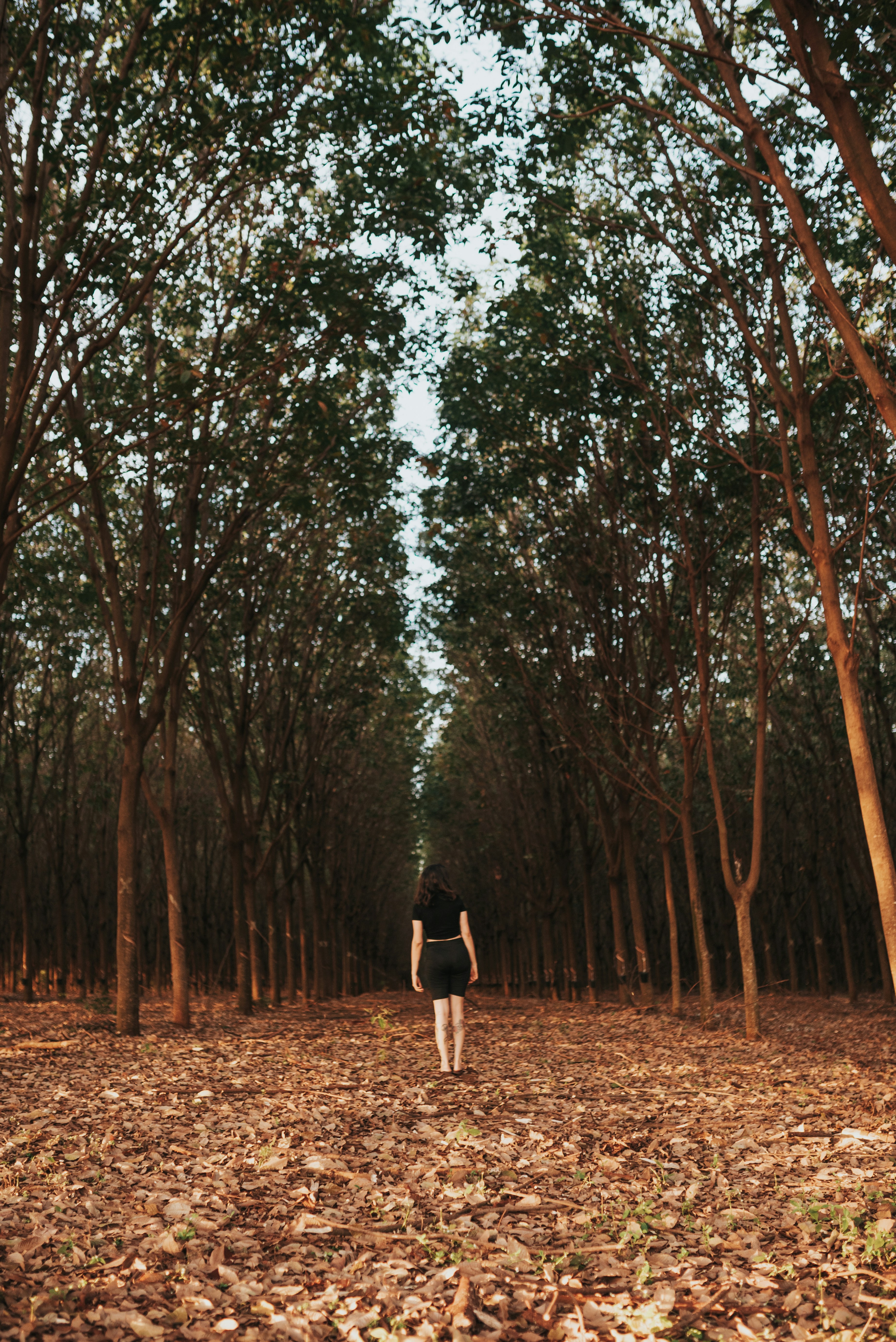 Photo by jessikaarraes