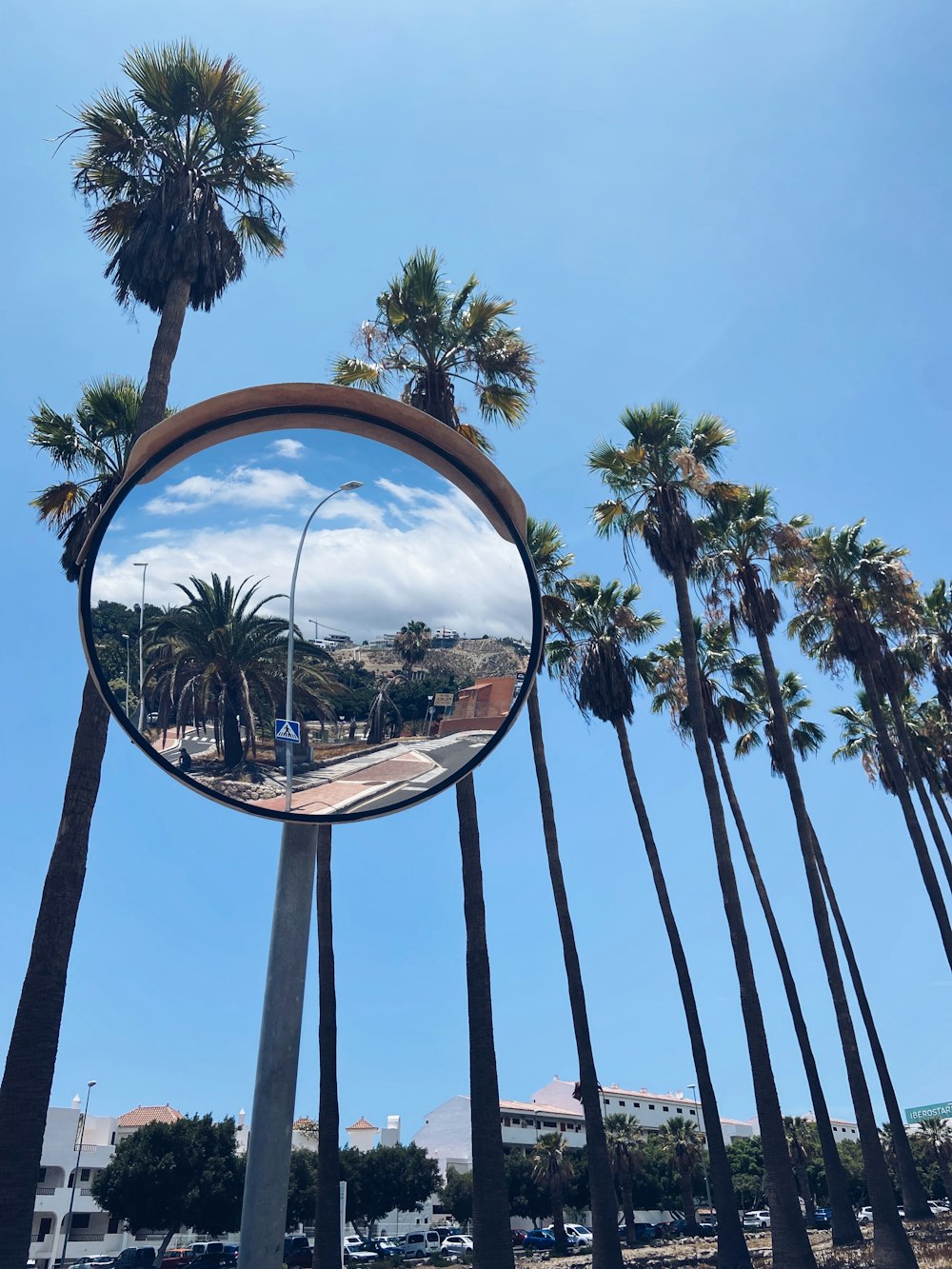 a mirror on a pole with palm trees in the background