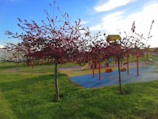 Outdoor play area with children running and playing on swings.