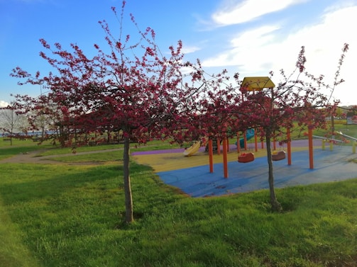 Community green space with children playing near colorful flower arrangements and trees.