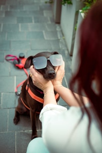 a woman is holding a dog wearing sunglasses