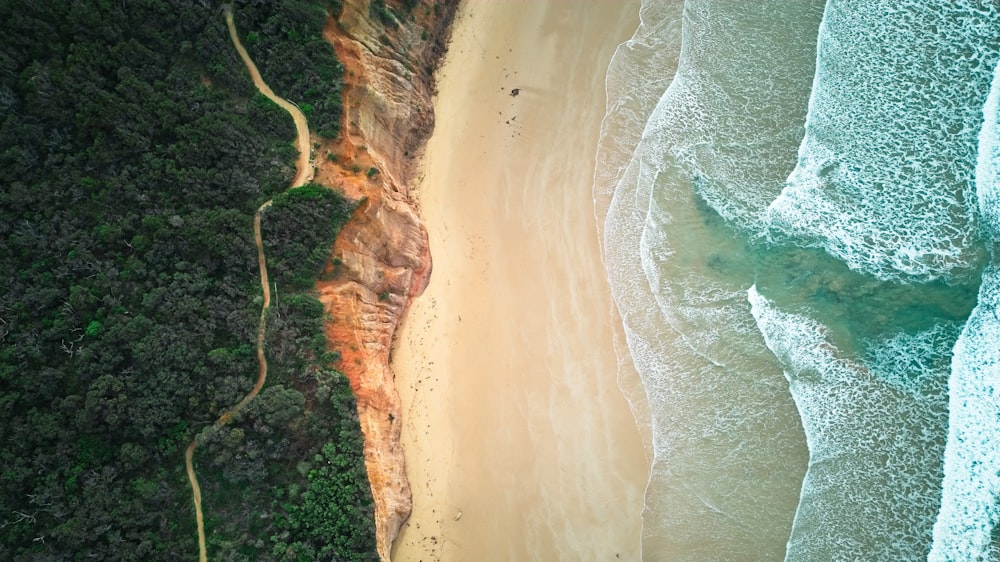 an aerial view of a beach and a forested area