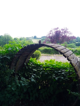 A craftsman carefully shaping a wooden garden structure surrounded by lush greenery.