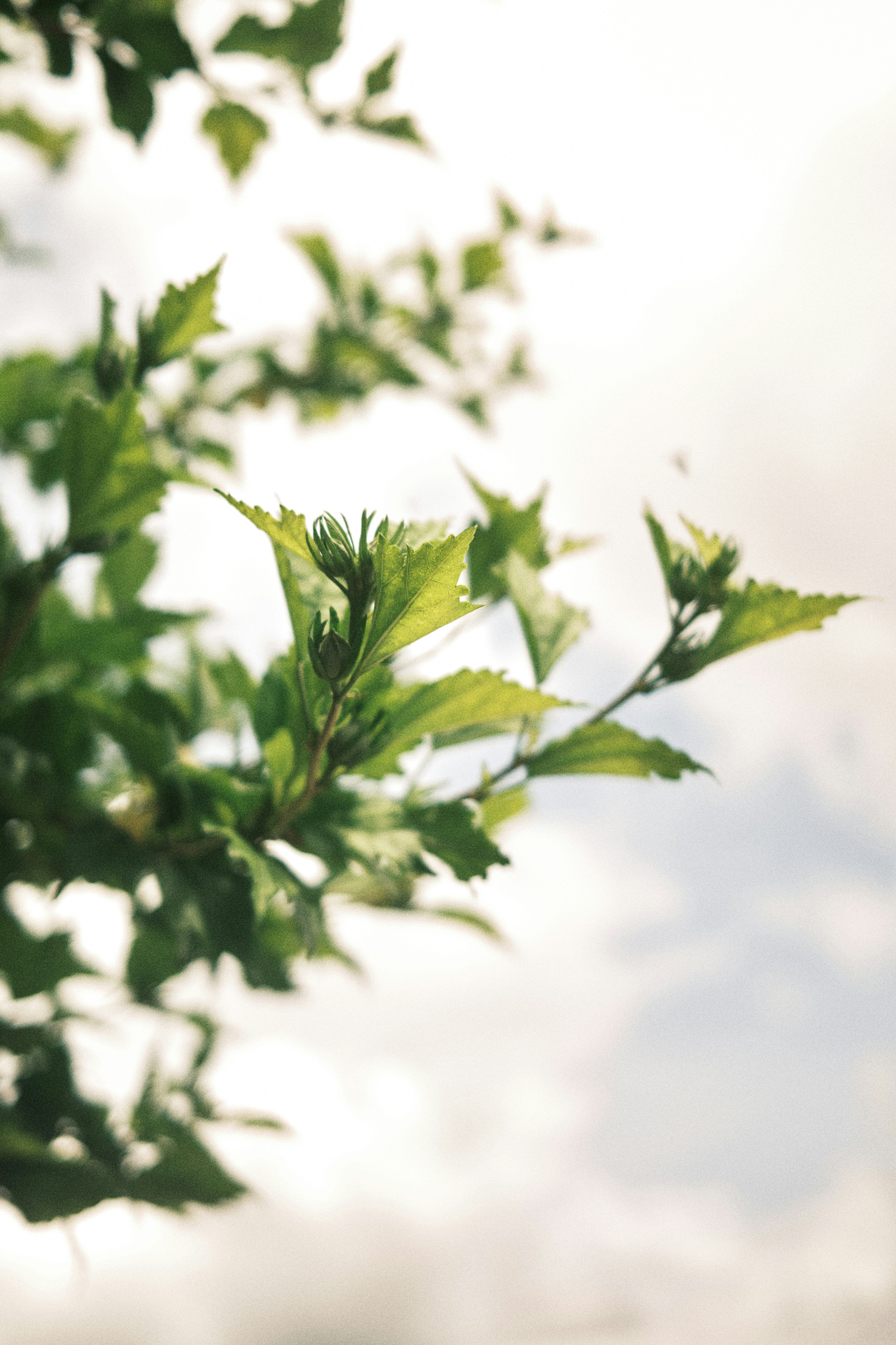 Photo by lawlesscapture