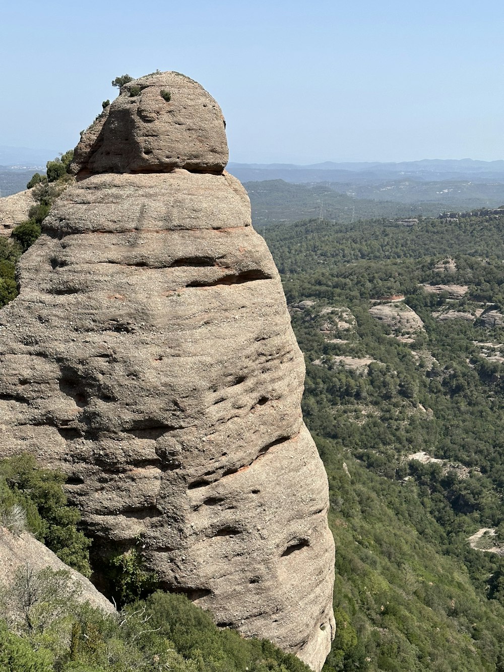 a large rock formation in the middle of a forest