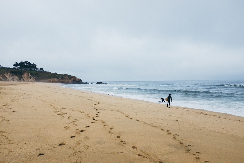 a person and a dog walking on a beach