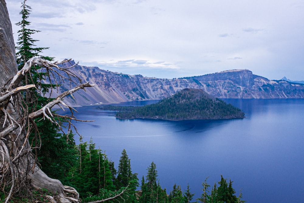 a large body of water surrounded by trees