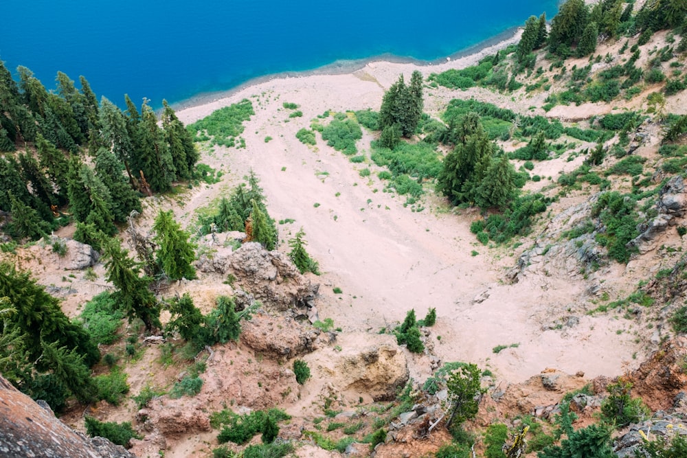 une vue d’un chemin de terre au milieu d’une forêt