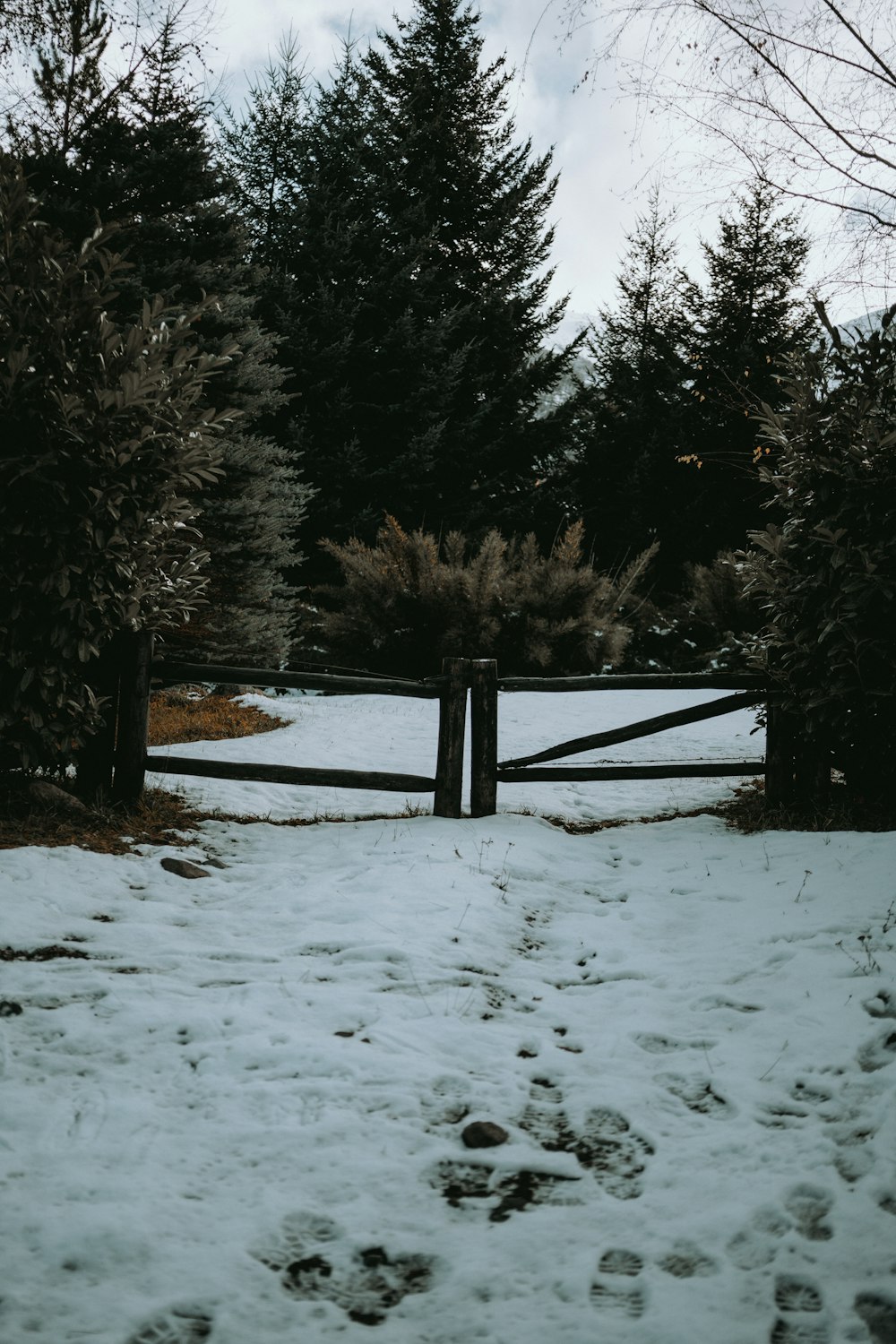 a snow covered path leading to a gate