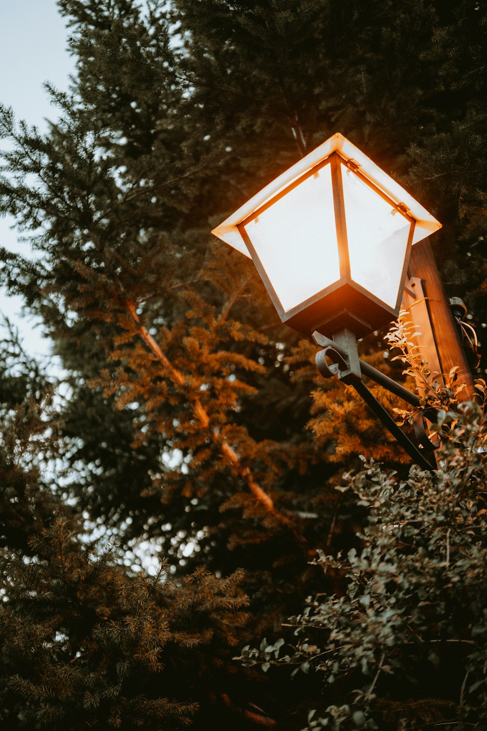 a street light in front of some trees