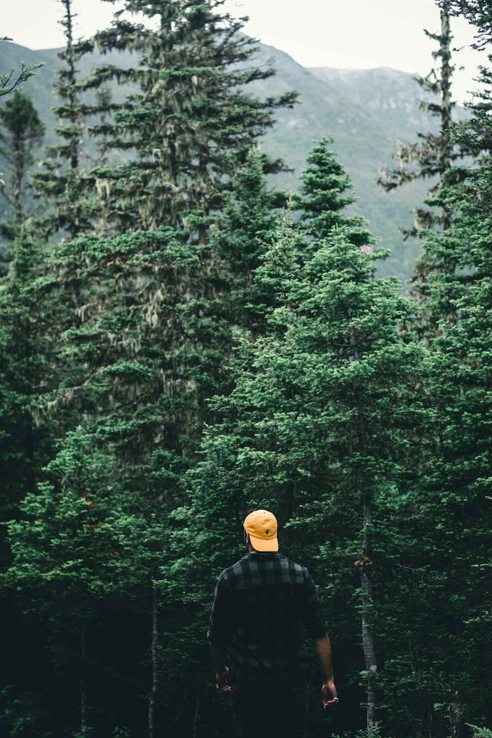 a man standing in the middle of a forest