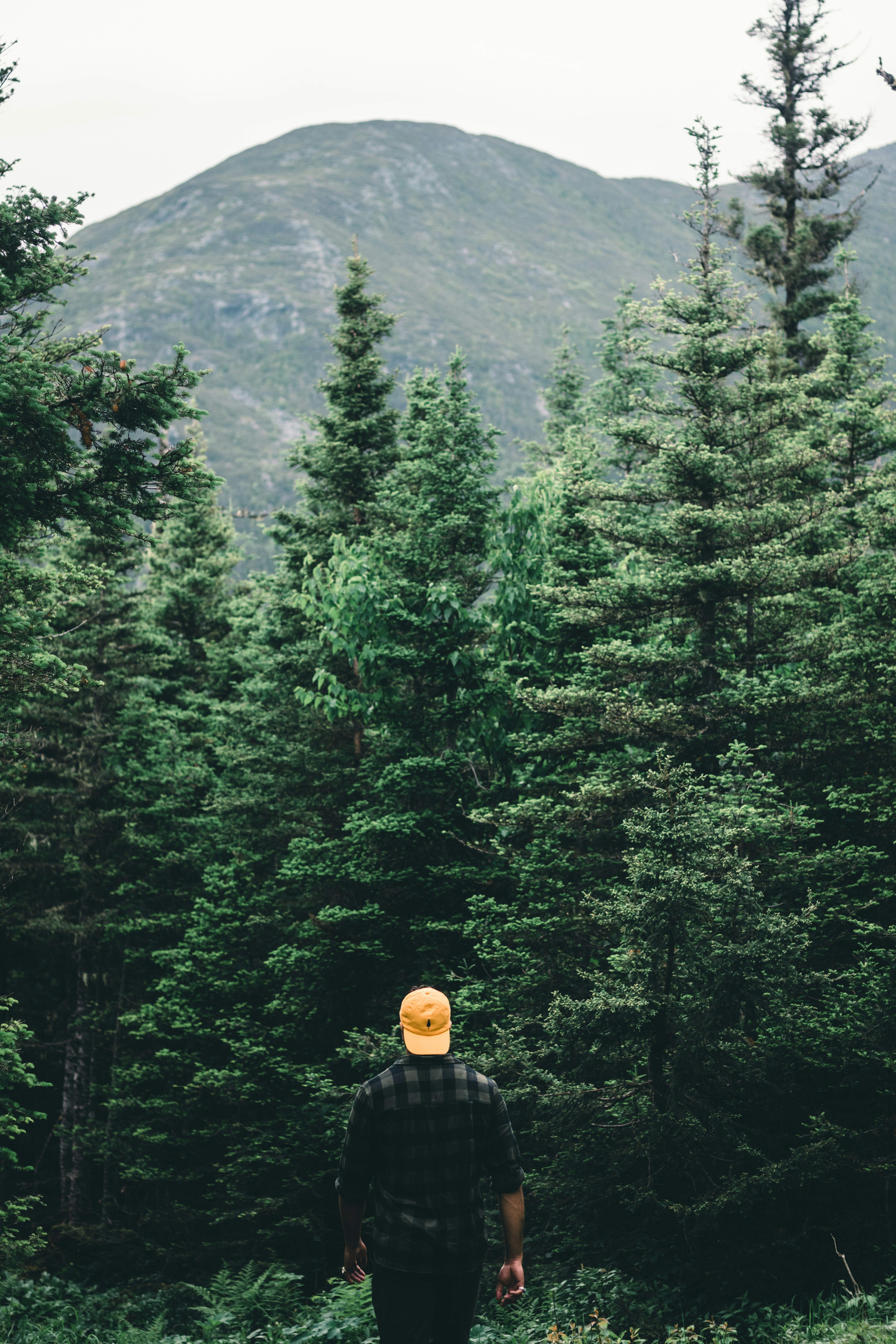 Photo by lureofadventure