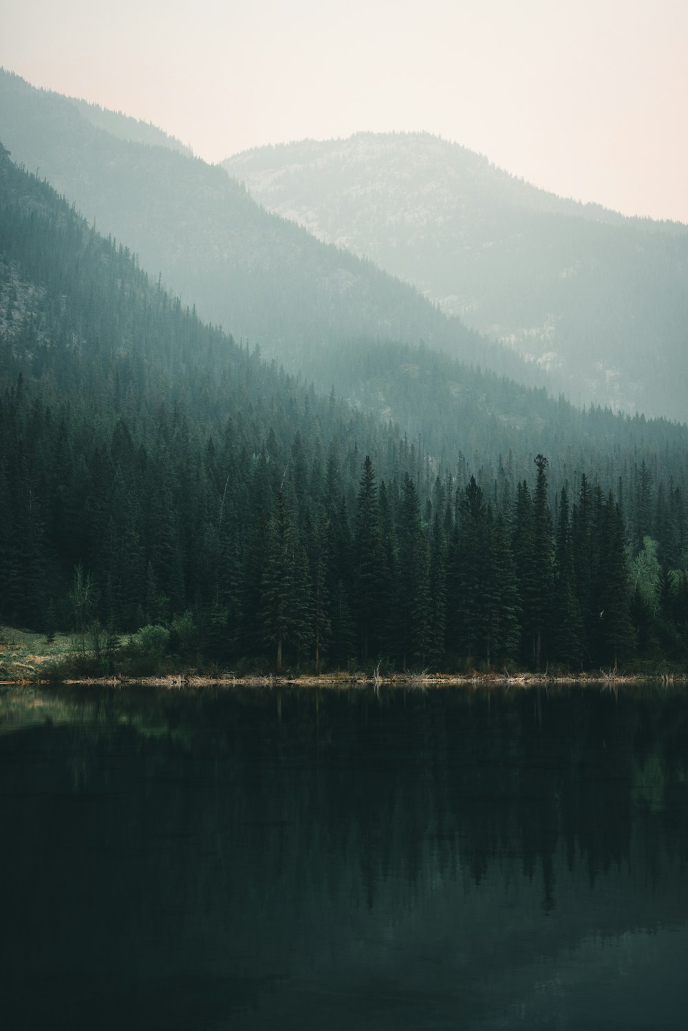 un lac entouré d’une forêt avec des montagnes en arrière-plan